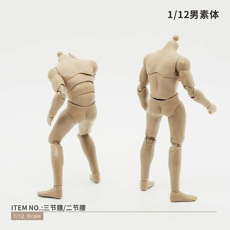 Custom Male Headless Figure Model Body 6" Loose Action Figure