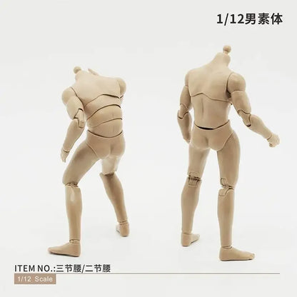 Custom Male Headless Figure Model Body 6" Loose Action Figure
