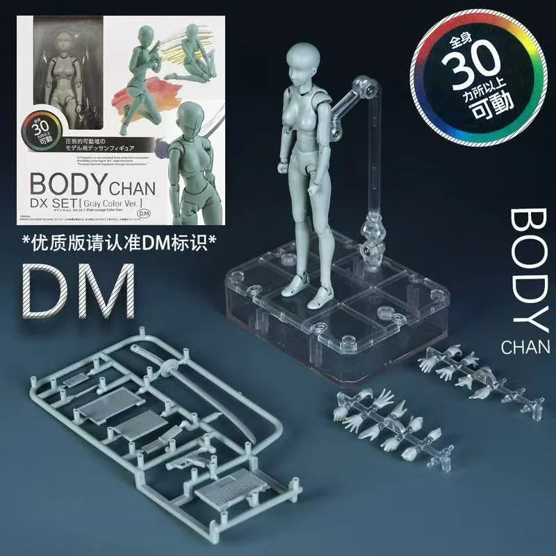 *Sketch Draw Male Female Movable Body Kun Body Chan Joint Pain Anime Figure Shf Action Figure Toy Model Draw Mannequin