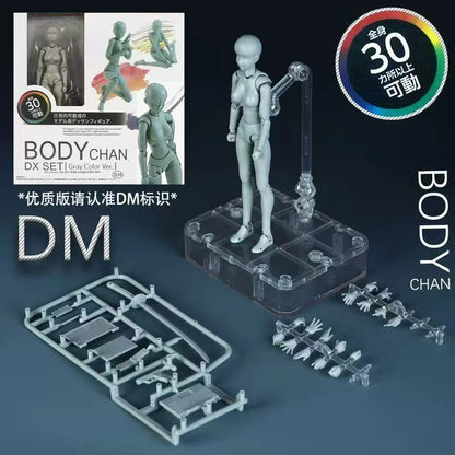 *Sketch Draw Male Female Movable Body Kun Body Chan Joint Pain Anime Figure Shf Action Figure Toy Model Draw Mannequin