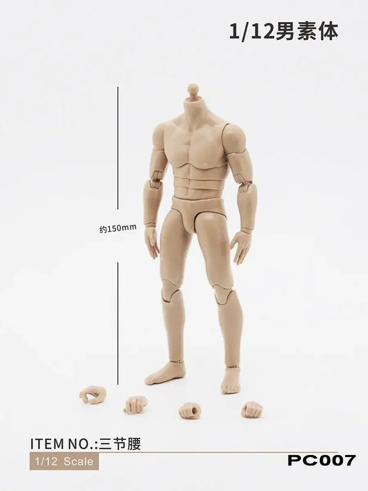 Custom Male Headless Figure Model Body 6" Loose Action Figure