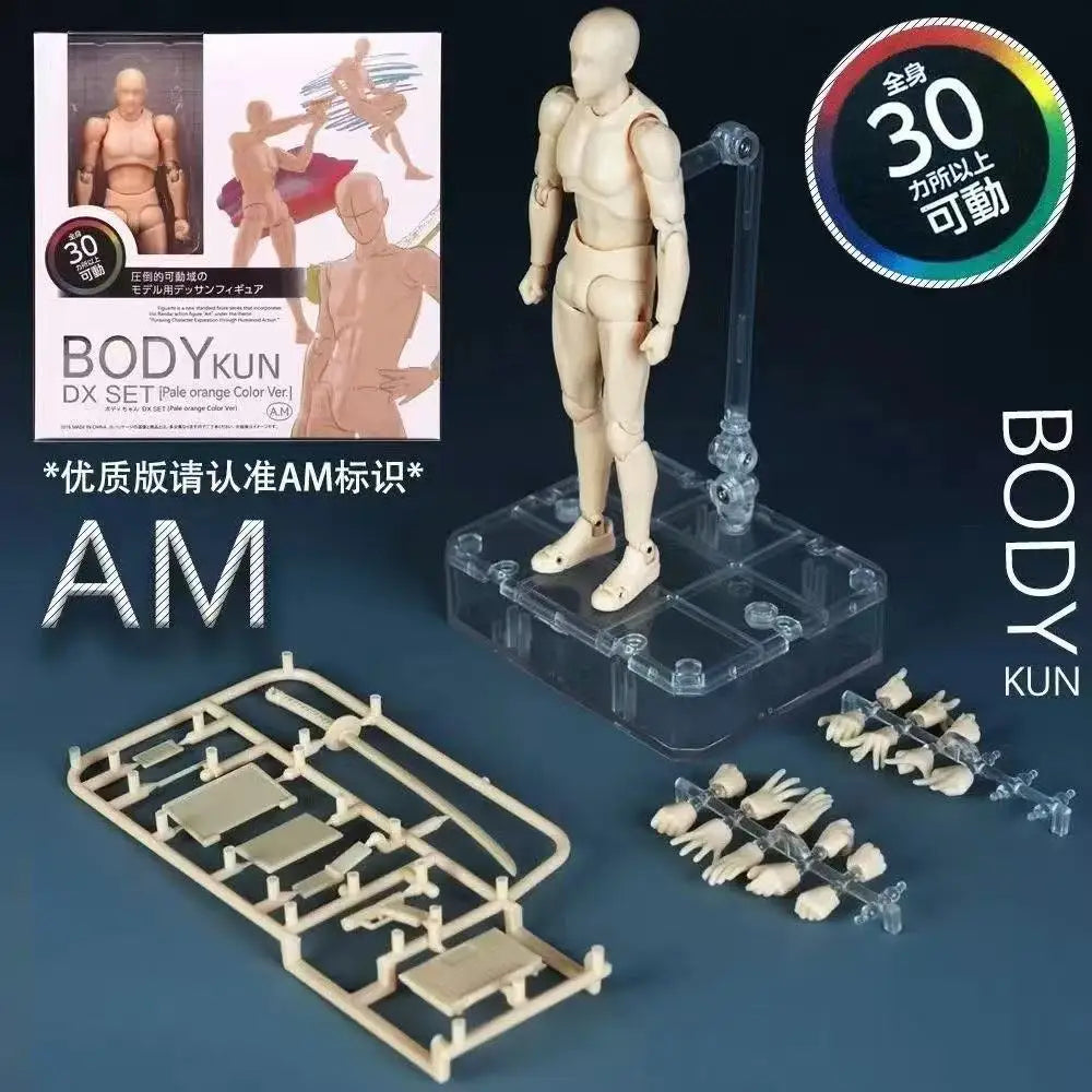 *Sketch Draw Male Female Movable Body Kun Body Chan Joint Pain Anime Figure Shf Action Figure Toy Model Draw Mannequin