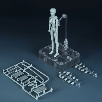 *Sketch Draw Male Female Movable Body Kun Body Chan Joint Pain Anime Figure Shf Action Figure Toy Model Draw Mannequin