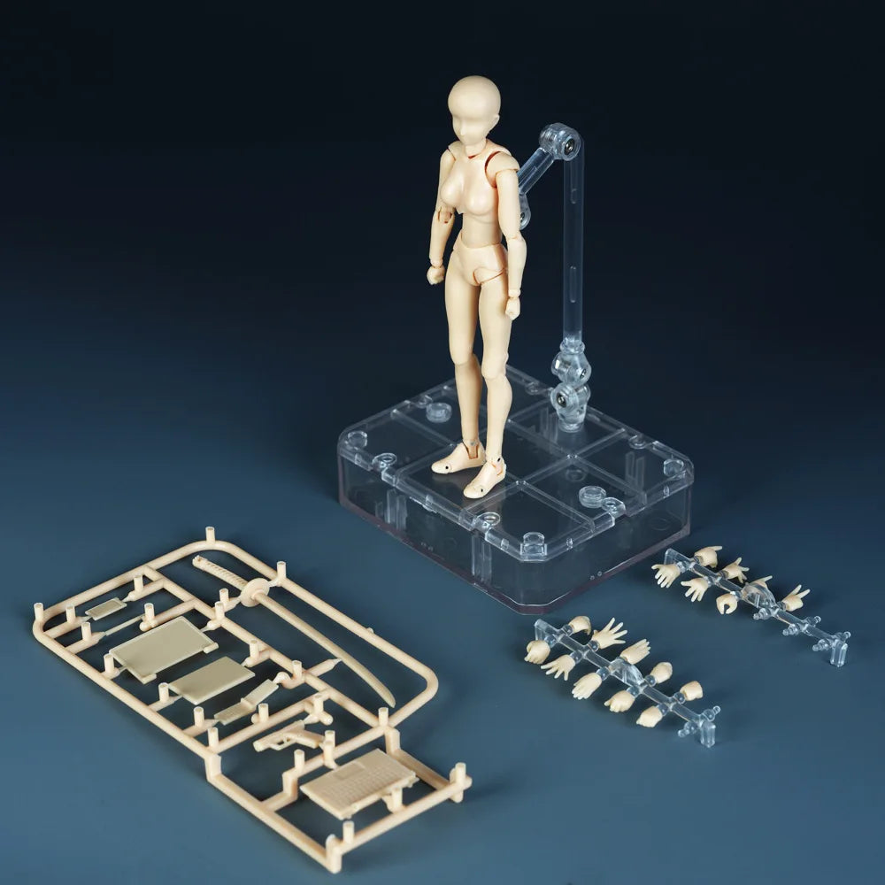 *Sketch Draw Male Female Movable Body Kun Body Chan Joint Pain Anime Figure Shf Action Figure Toy Model Draw Mannequin