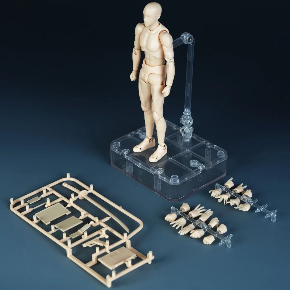 *Sketch Draw Male Female Movable Body Kun Body Chan Joint Pain Anime Figure Shf Action Figure Toy Model Draw Mannequin