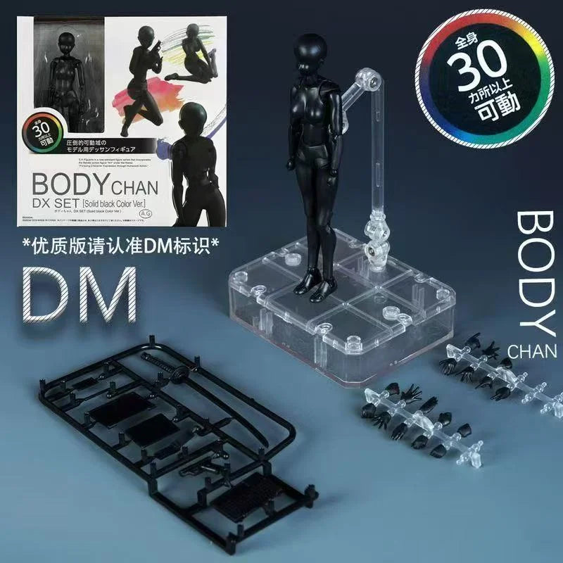 *Sketch Draw Male Female Movable Body Kun Body Chan Joint Pain Anime Figure Shf Action Figure Toy Model Draw Mannequin