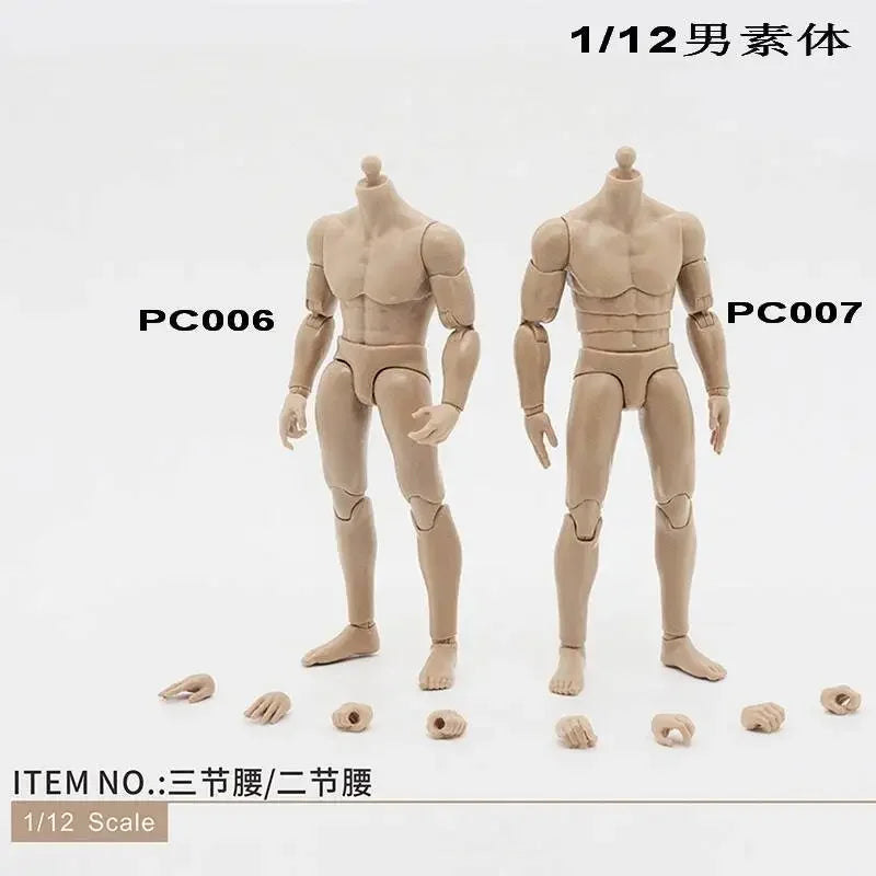 Custom Male Headless Figure Model Body 6" Loose Action Figure
