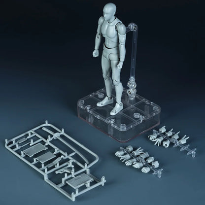 *Sketch Draw Male Female Movable Body Kun Body Chan Joint Pain Anime Figure Shf Action Figure Toy Model Draw Mannequin